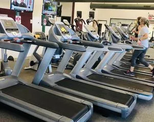 Row of cardio treadmills at HFH gym in Waupaca, WI
